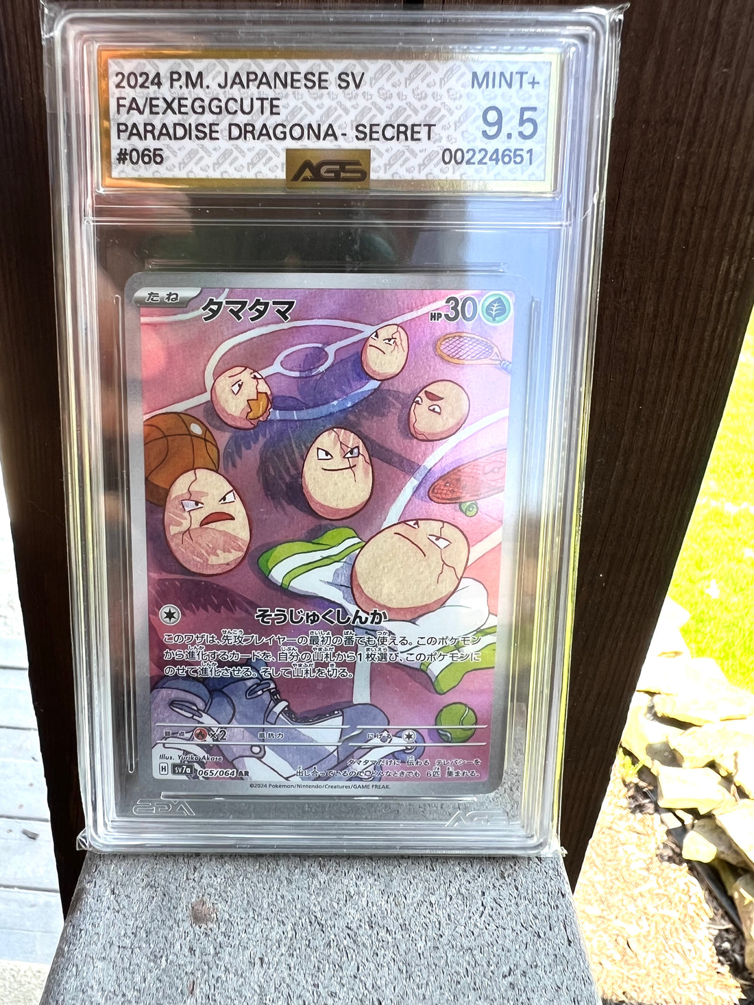 Exeggcute Japanese Paradise Dragona Secret AGS Mint+ 9