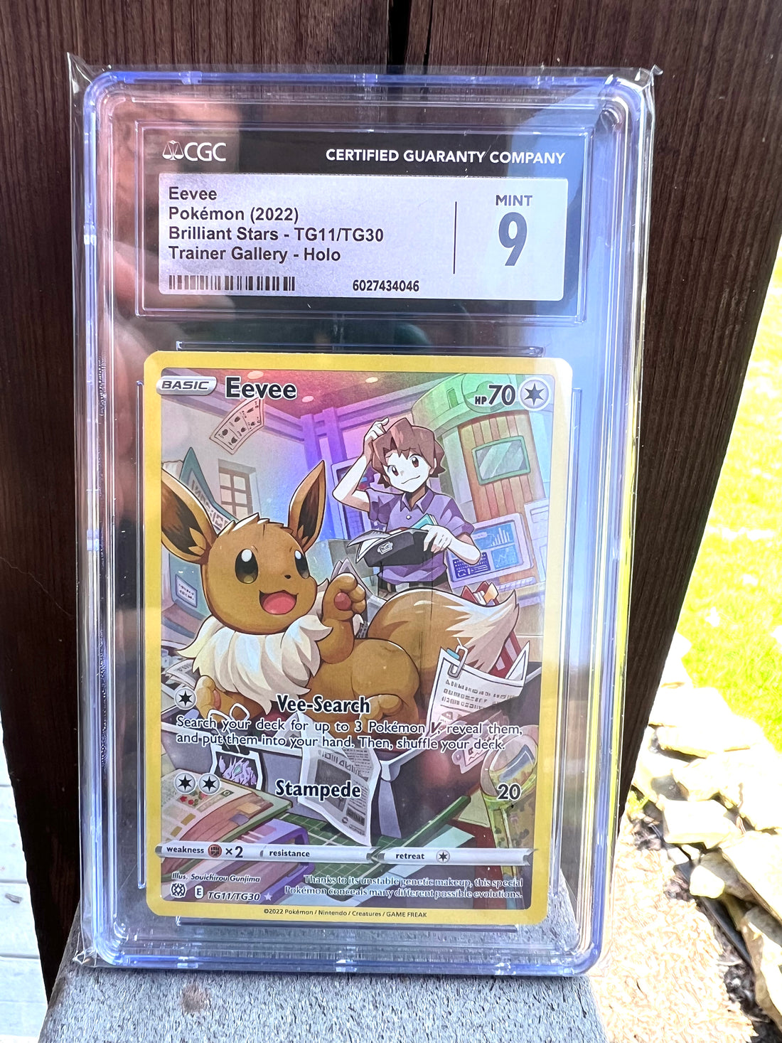 Eevee Brilliant Stars TG11/TG30 CGC Mint 9